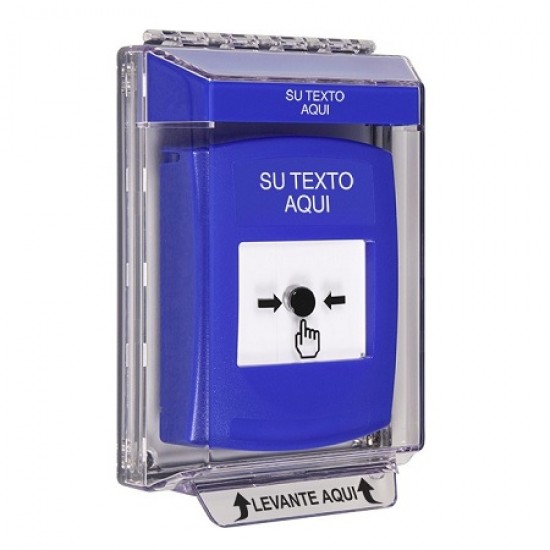GLR431ZA-ES STI Blue Indoor/Outdoor Low Profile Flush Mount Key-to-Reset Push Button w/ Custom Text Spanish
