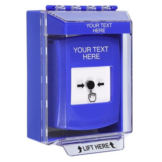 GLR481ZA-EN STI Bluee Indoor/Outdoor Low Profile Surface Mount w/ Sound Key-to-Reset Push Button w/ Custom Text Label