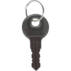 KIT-H18054 STI 2 Extra Keys for STI-6560 Model Purchased Fall 2008 and Later